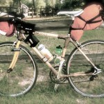 Penne: A Review of Bamboo Bicycle Frames