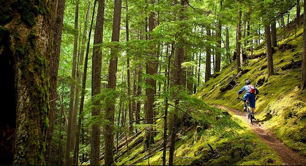 canada road bike route