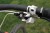 mountain bike shifter guide