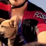 Bike Rider Rescues Deserted Puppy
