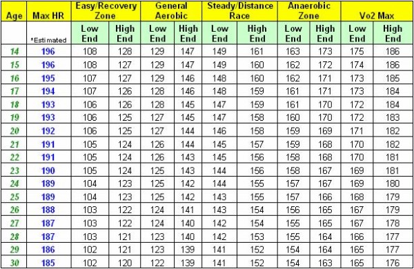 century training plan for beginners