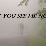 Cycling In Fog – How To Make It Safe
