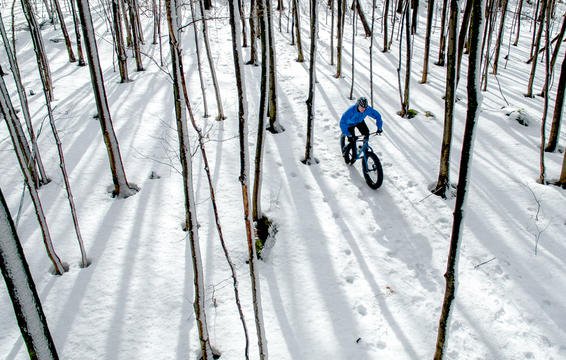 go fat biking