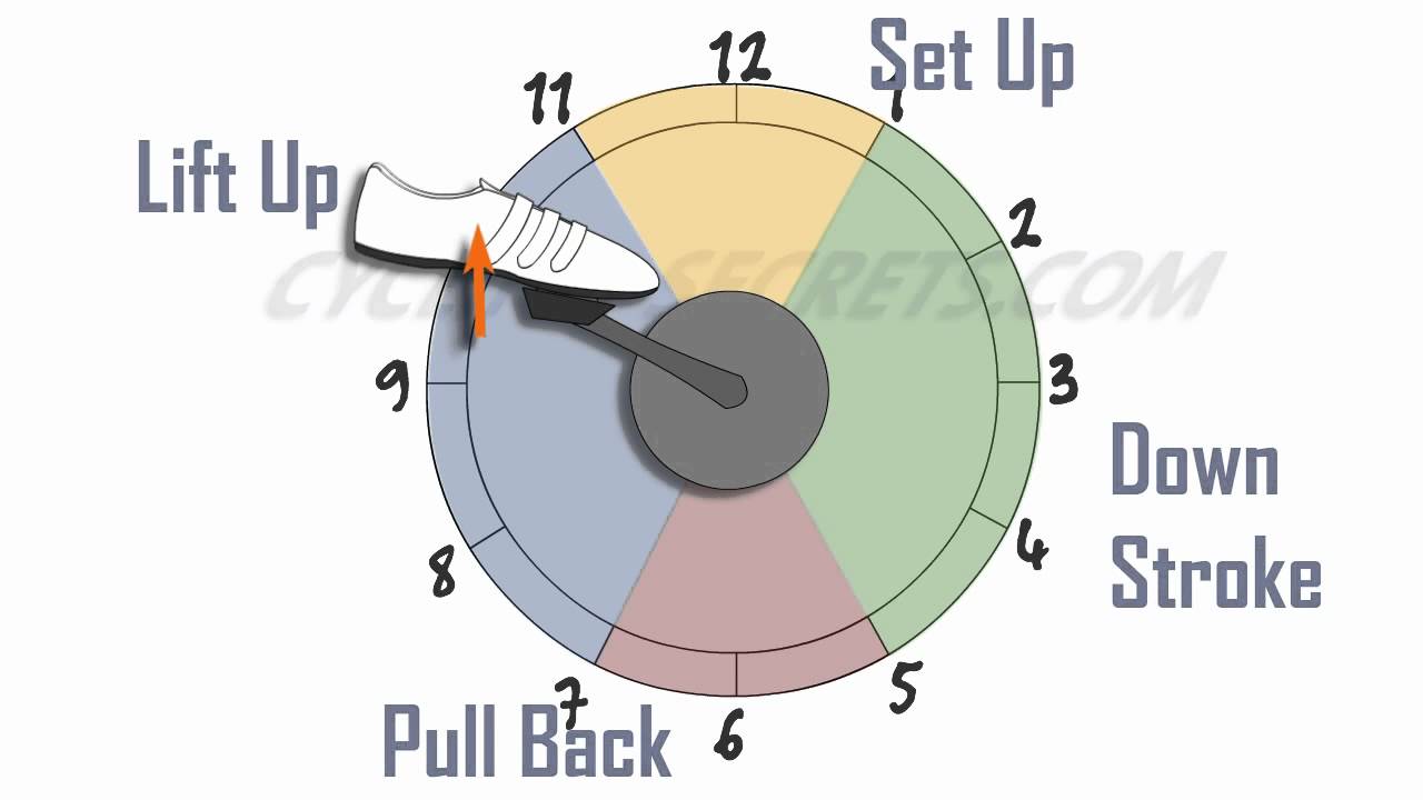 Stroke down. Фазы педалирования. Круговое педалирование в контактных педалях. Циклическое педалирование. График педалирования.
