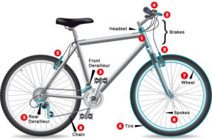 Your Bike Tune-Up Checklist - I Love Bicycling