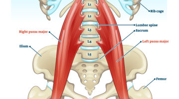 psoas stretch